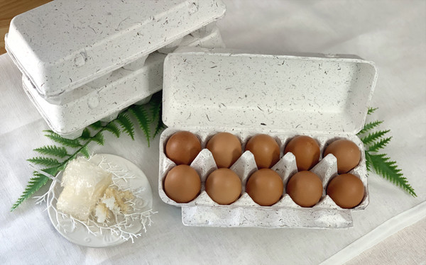 친환경 소셜벤처 마린이노베이션이 해조류 부산물로 만든 계란판. ⓒSK이노베이션