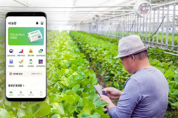 농민이 그린랩스의 원스톱 서비스 ‘팜모닝(Farm Morning)’ 앱을 이용해 작황을 점검하고 있다. 팜모닝에 가입한 농민은 농창업, 작물재배 컨설팅, 신선마켓 관련 서비스를 이용할 수 있다.ⓒSK스퀘어